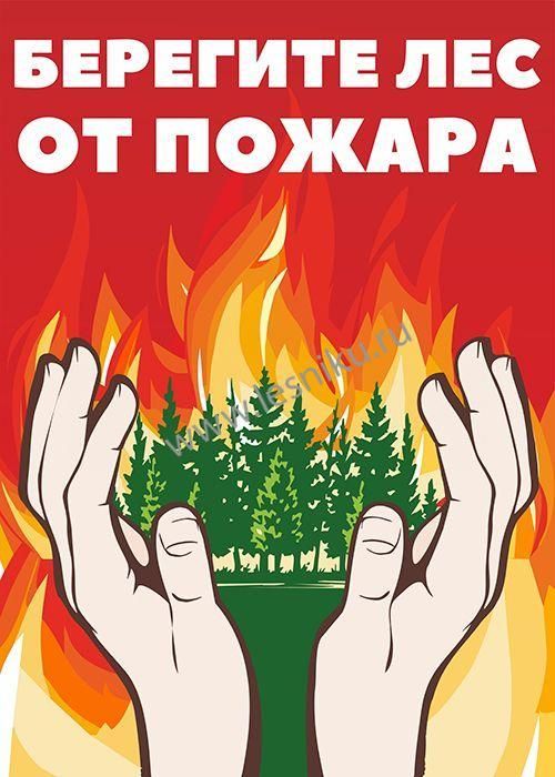 Профилактика лесных пожаров рисунок